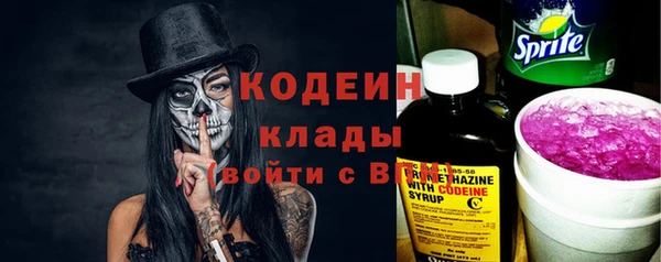 индика Абаза