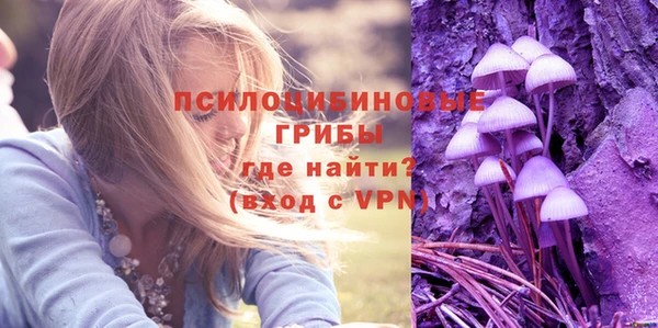 индика Абаза
