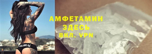 индика Абаза