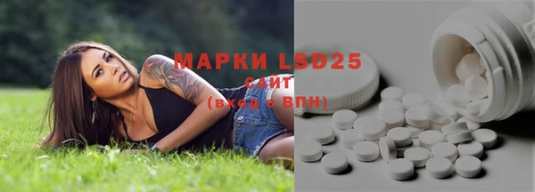 индика Абаза