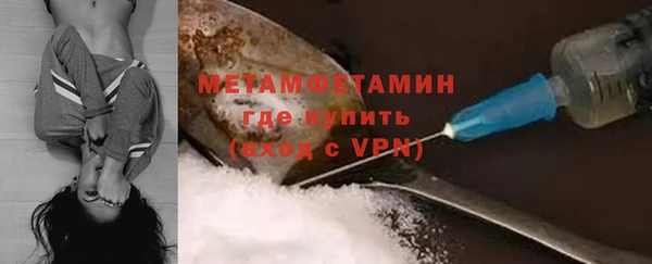 индика Абаза