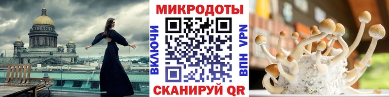 купить закладку  Кинешма  Псилоцибиновые грибы Cubensis 